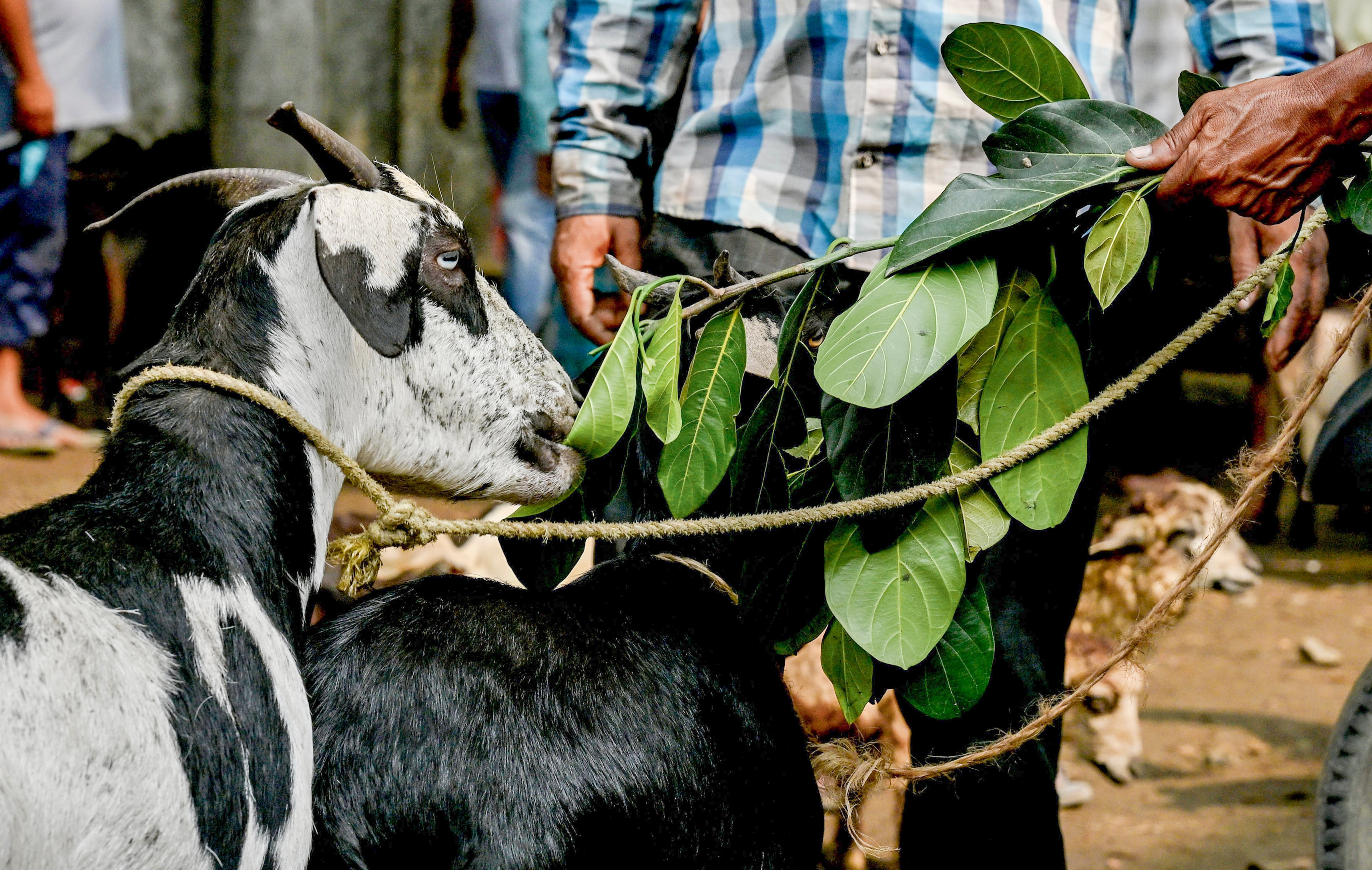 কিছু কনফিউশন চলছে কিছু কনফিউশন চলছে