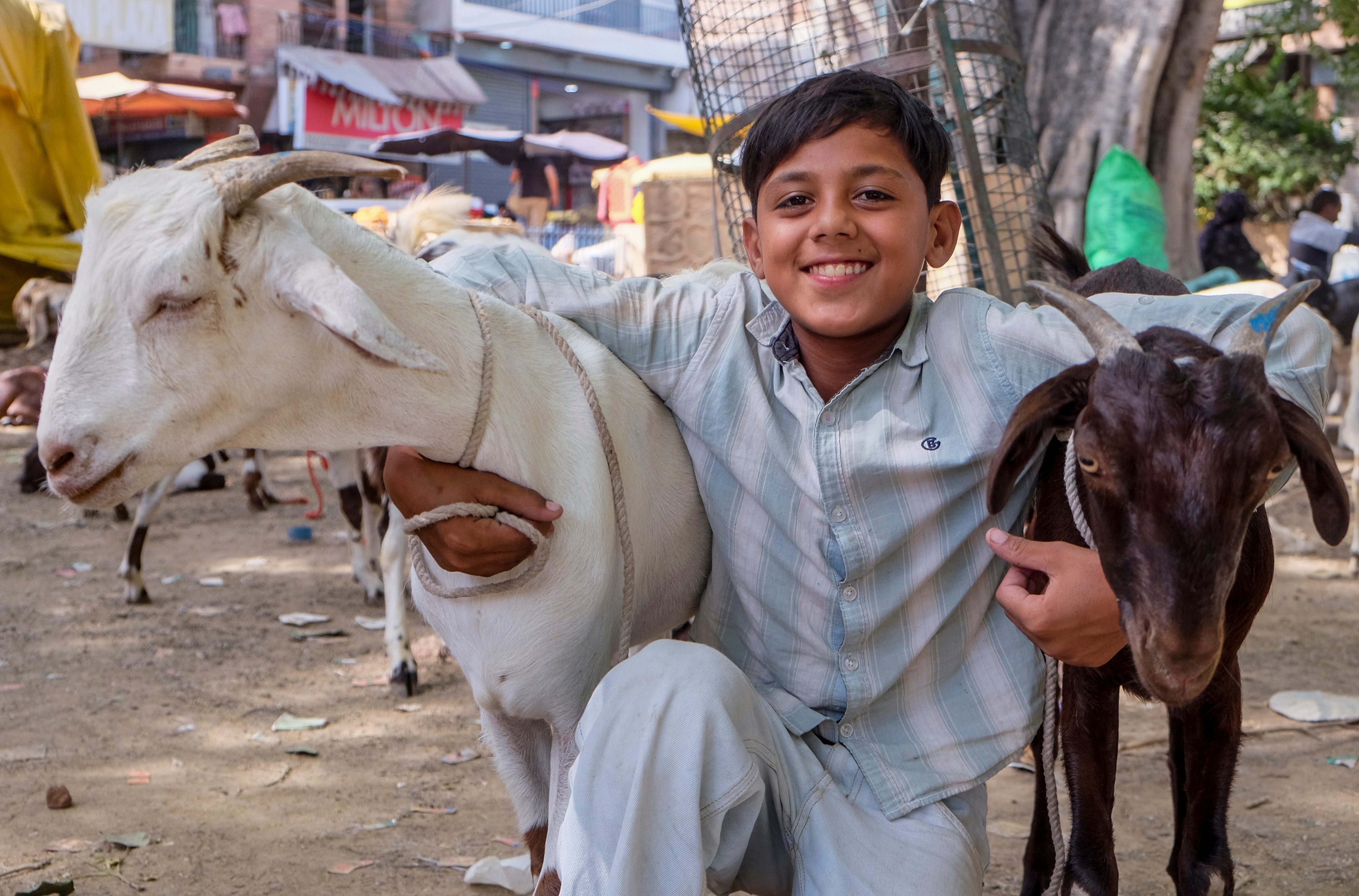 Bakri Eid 2026