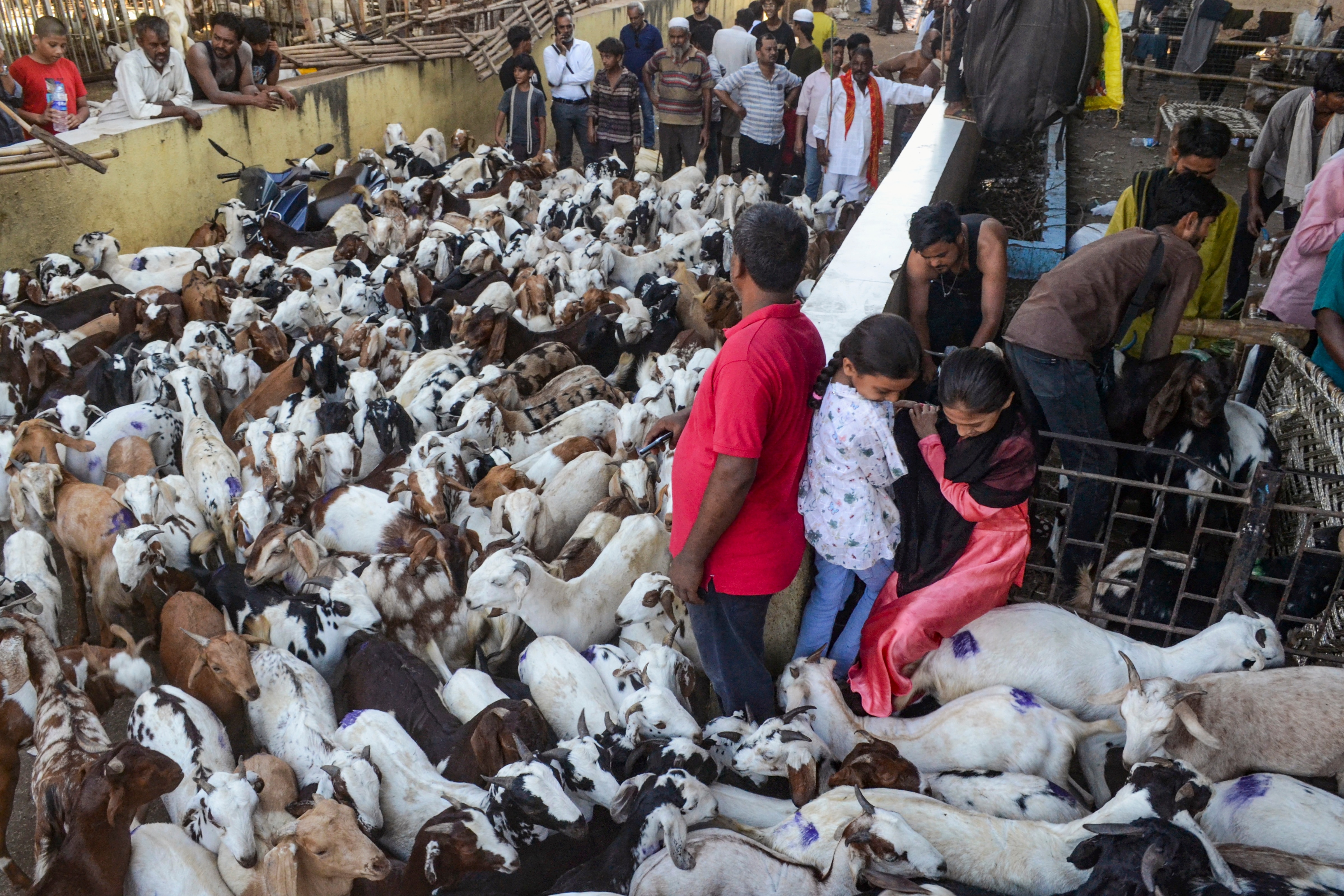 Bakri Eid 2026