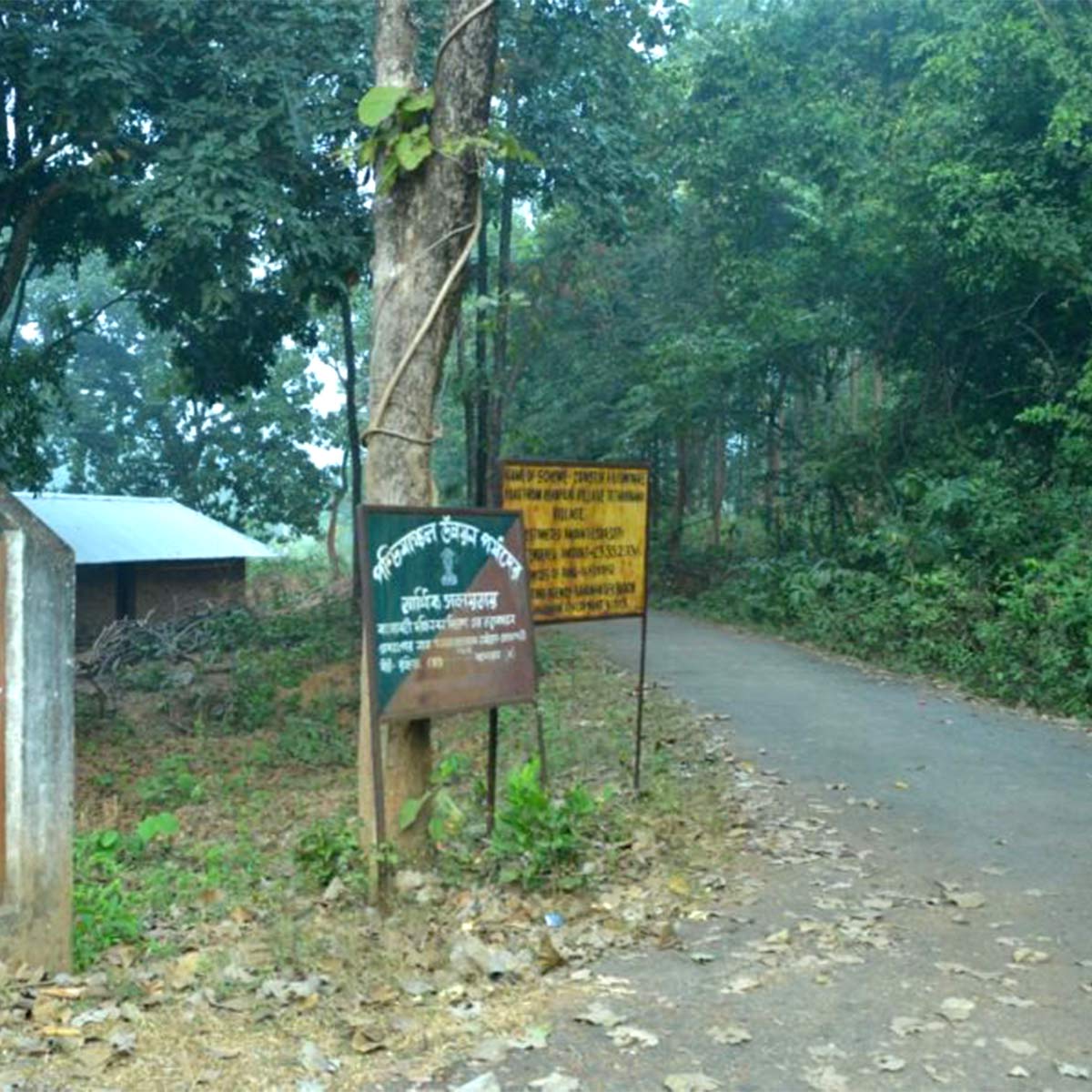 দুয়ারসিনি ৪