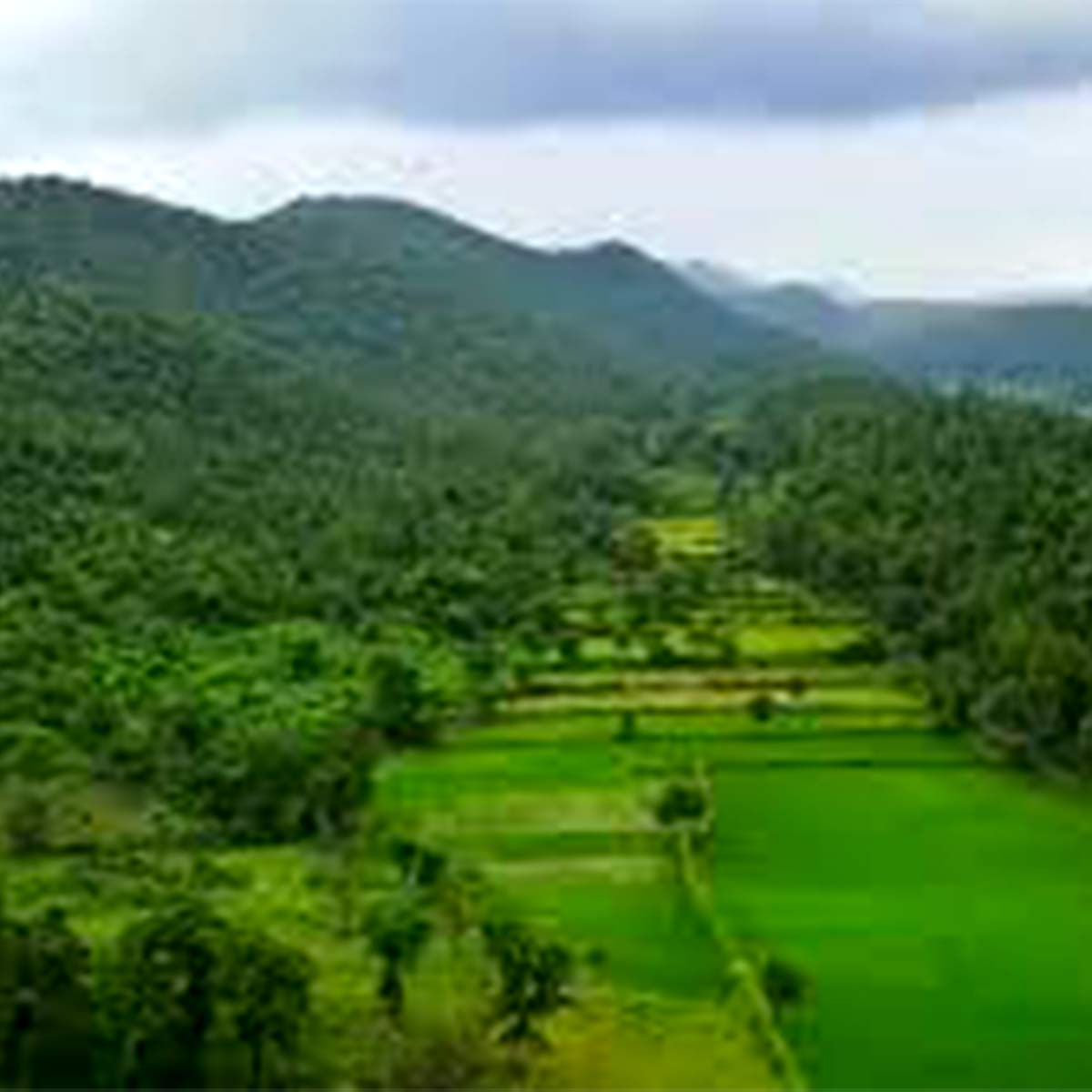 দুয়ারসিনি ৩