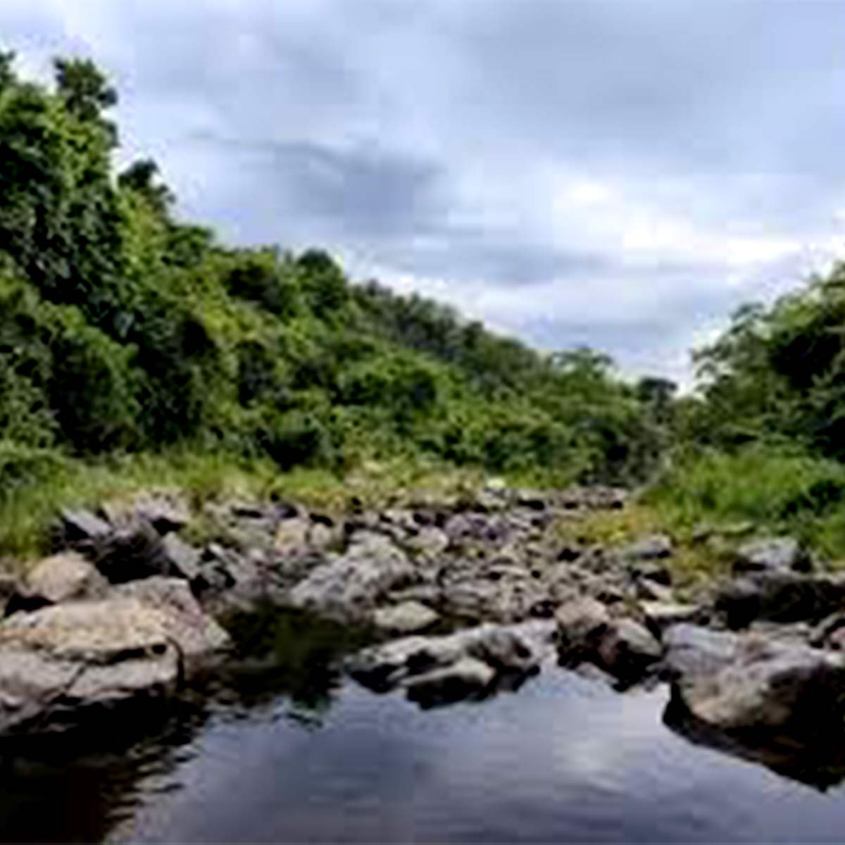 দুয়ারসিনি ১