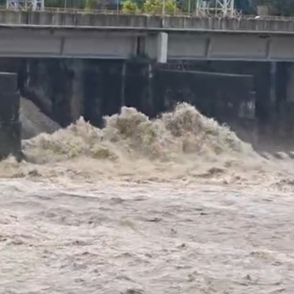 বৃষ্টিতে বিপর্যস্ত উত্তরবঙ্গ