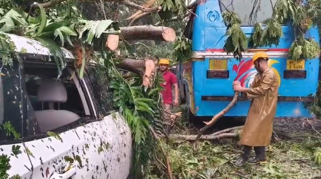 মেয়ো রোডে মেয়ো রোডে