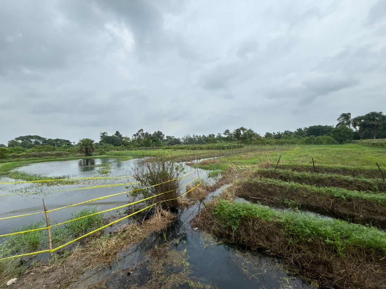 ঠিক এই জায়গাতেই বারুইপুরে এনকাউন্টার হয়েছে