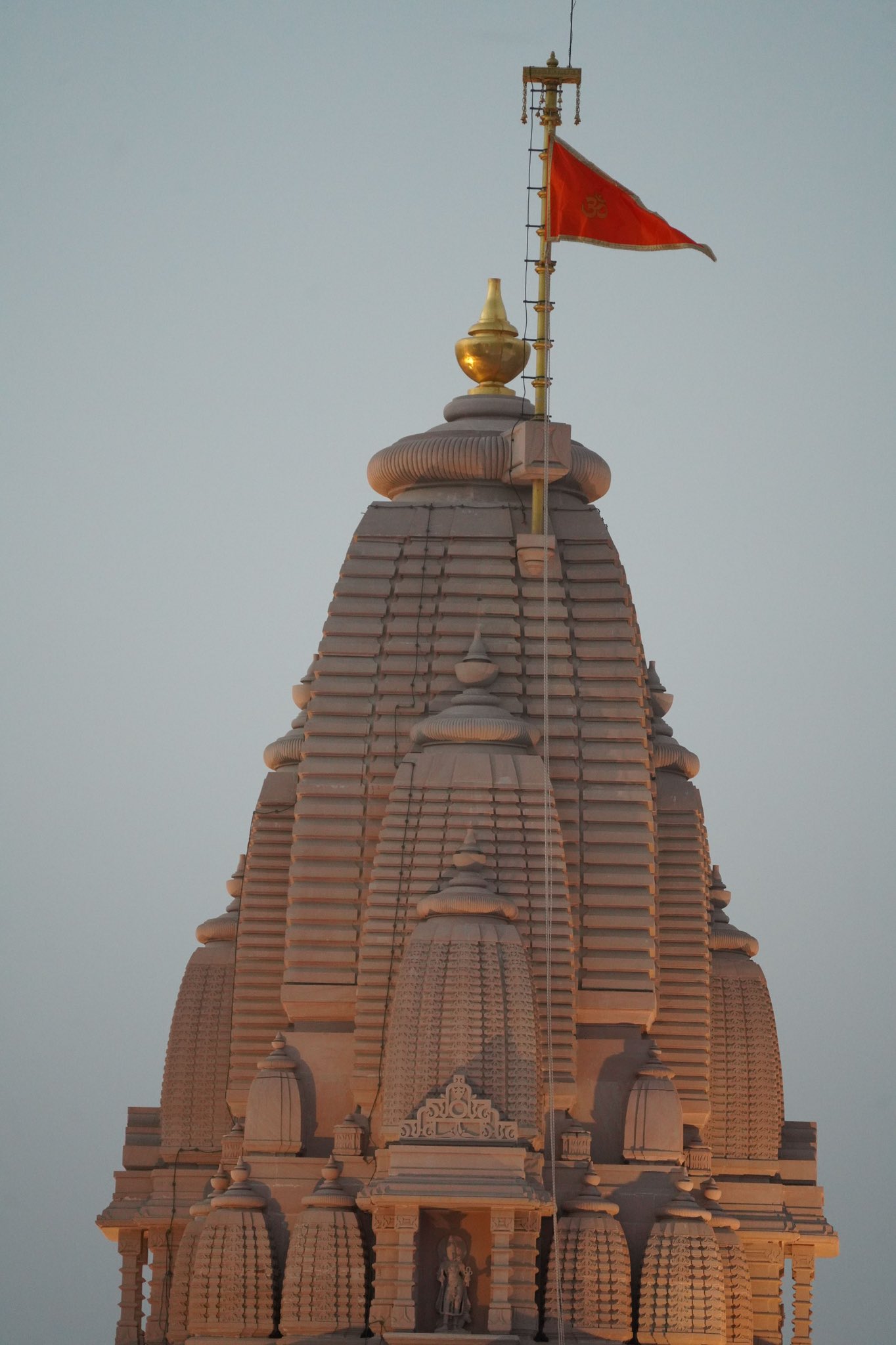 সোনার বিস্কুট