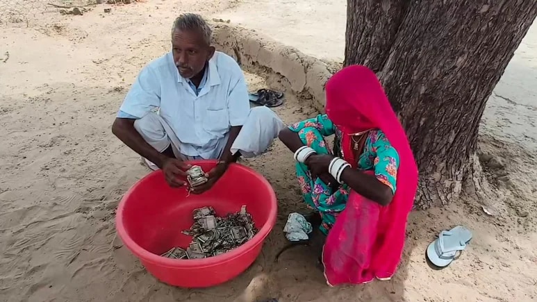  খুঁড়ে বের করতেই মাথায় হাত কৃষকের