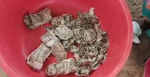 মাটির নীচে লুকিয়ে রেখেছিলেন