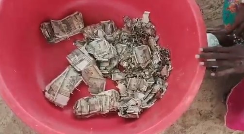 বেশির ভাগটাই উইপোকায় খেয়েছে