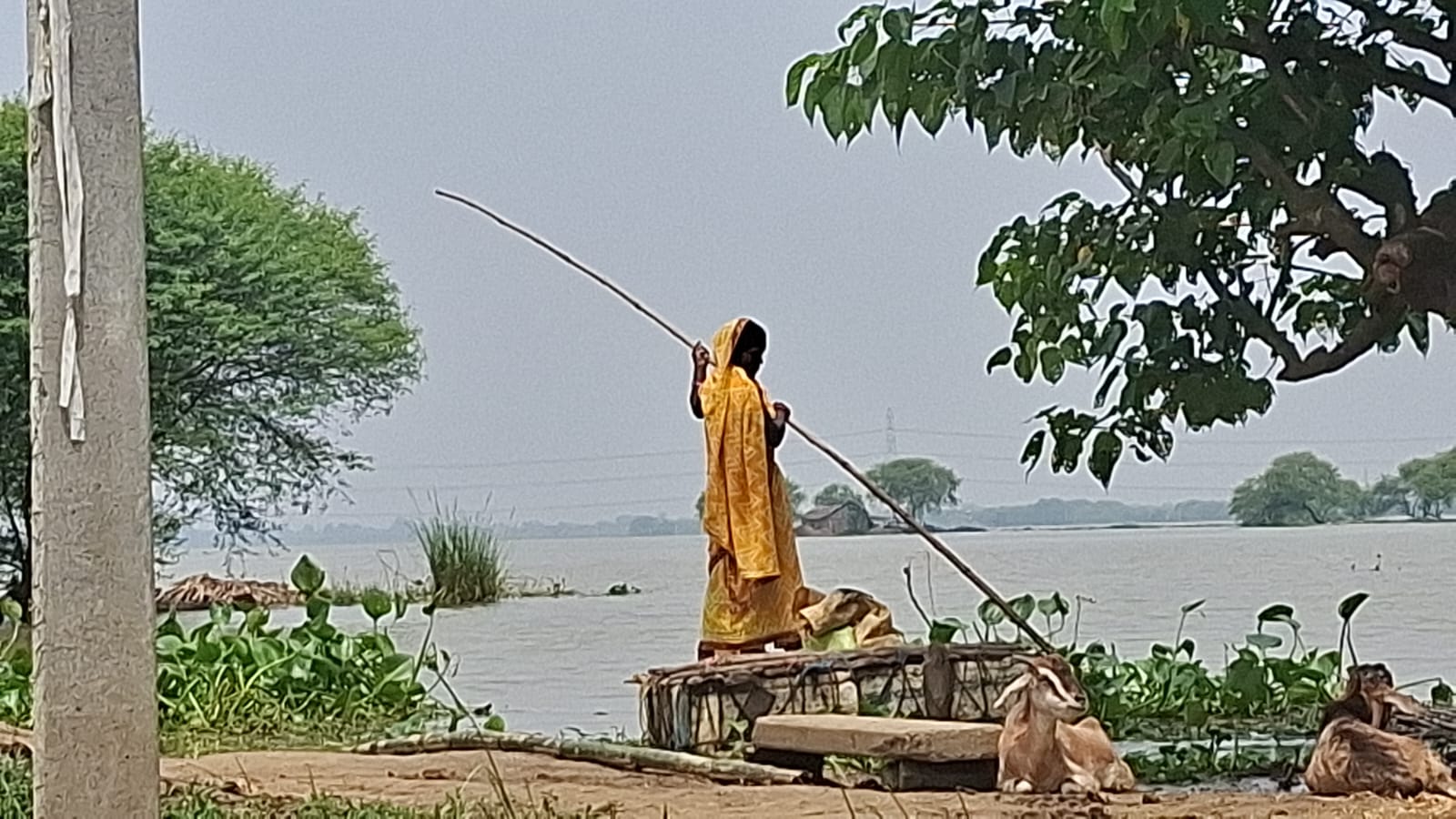 সহায়তা করবে এসডিআরএফ এবং এনডিআরএফ