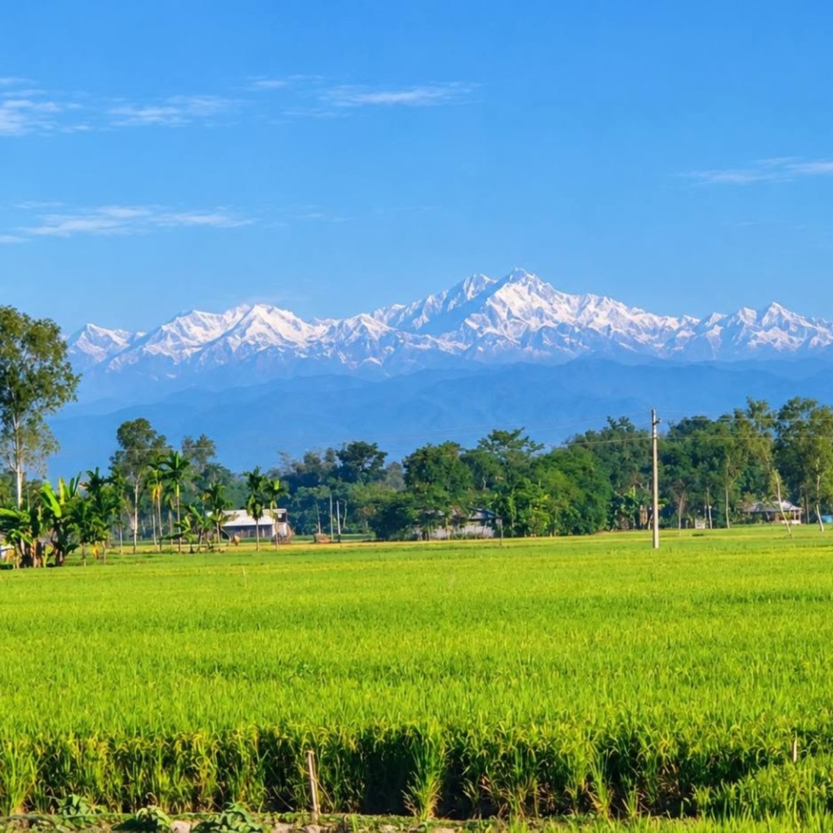 Kanchenjunga from Siliguri