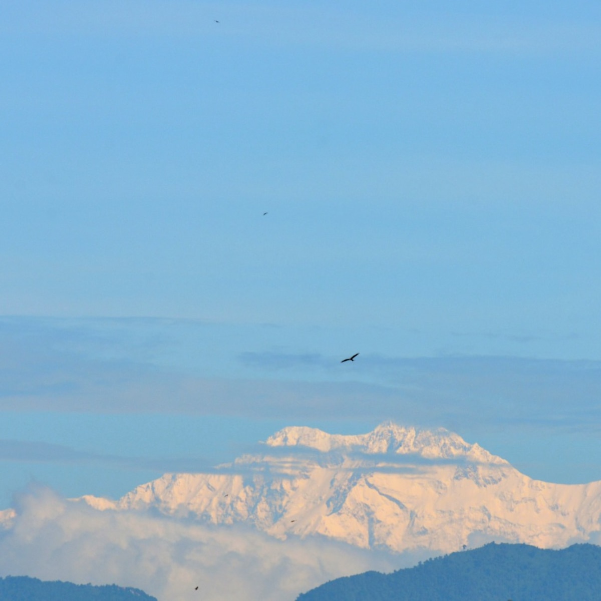 Kanchenjunga from Siliguri
