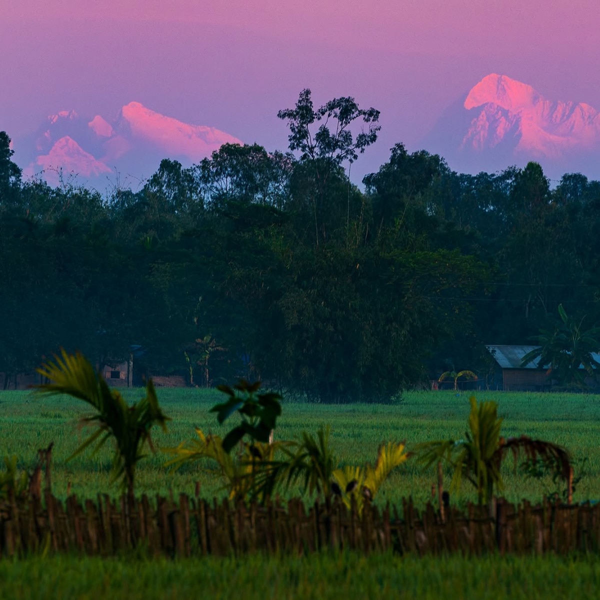Kanchenjunga from Siliguri