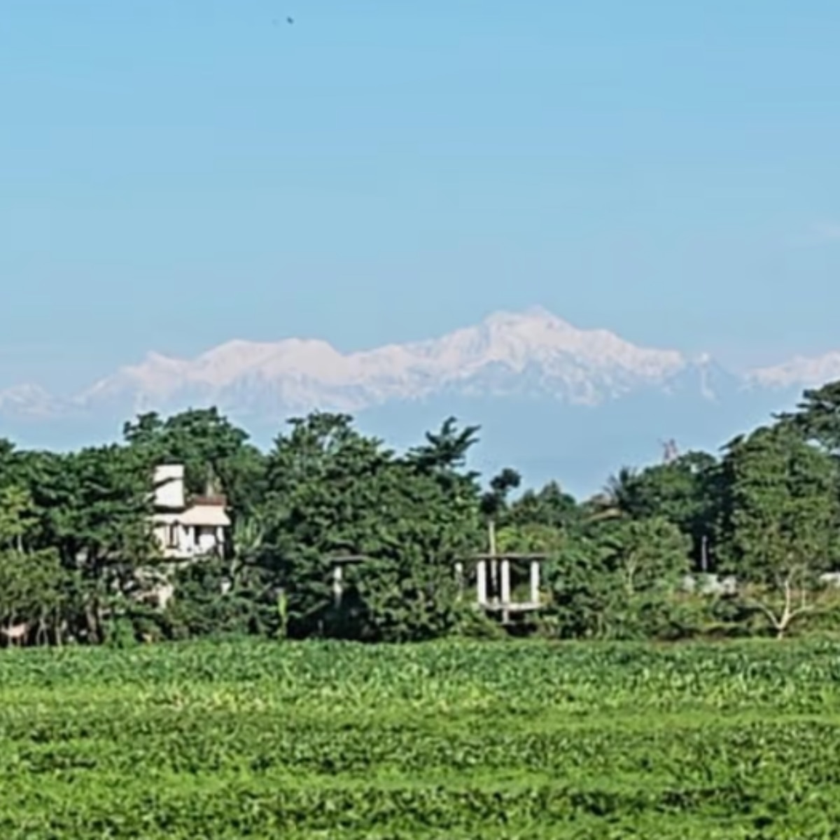 Kanchenjunga from Siliguri