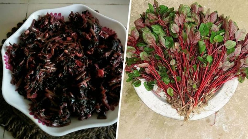 Red Spinach Benefits: চোখের স্বাস্থ্য থেকে রক্তচাপ নিয়ন্ত্রণ, লাল শাকের  উপকার জানলে চমকে যাবেন - Red Spinach Benefits can eliminate the toxins from  our body and improve blood flow sum - Aaj