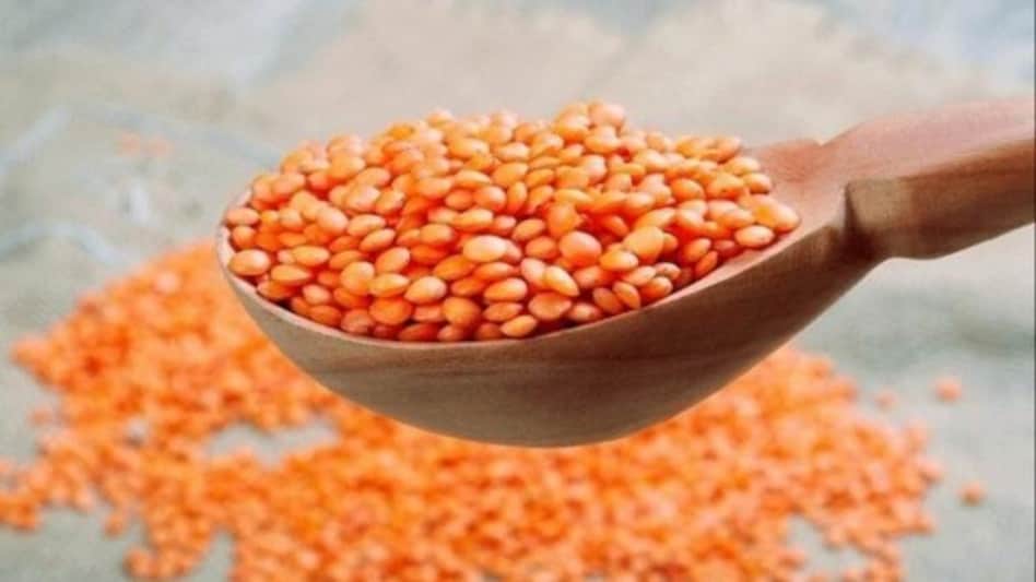 Masoor Dal Side Effects: মাছ-মাংসের সমান প্রোটিনে ভরপুর, তবে মসুর ডাল কাদের  জন্য ক্ষতিকারক? - masoor dal side effects do not eat masoor dal for these  people lentil benefits mdv - Aaj