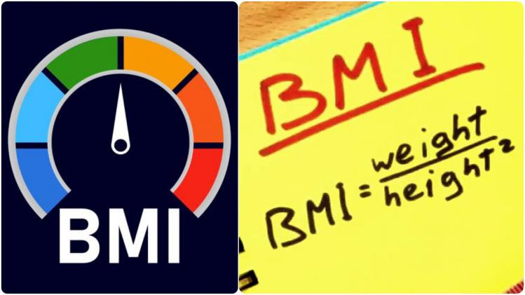 BMI Calculator উচ্চতা অনুযায়ী আপনার ওজন কত হওয়া উচিত? জেনে নিন BMI