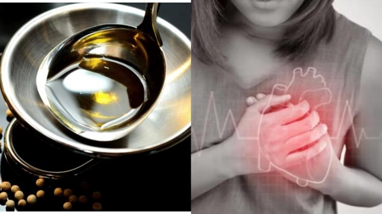 Best Cooking Oil বাঙালির চিরকালীন প্রিয় এই রান্নার তেলই হার্ট