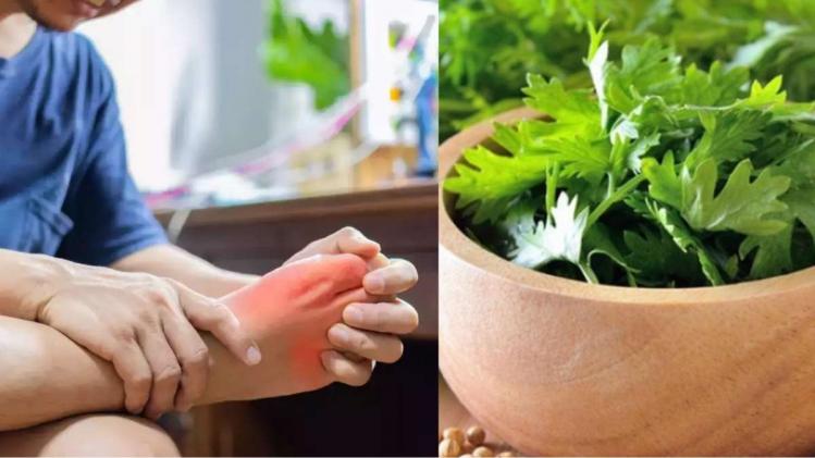 Dhone Pata For Uric Acid ইউরিক অ্যাসিডের তৈরি 'পাথর' প্রস্রাবের সঙ্গেই