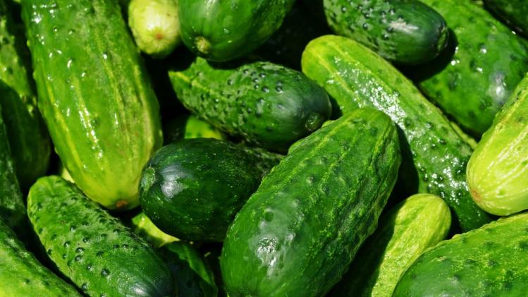 Cucumber Benefits with Peel খোসা না ছাড়িয়ে শসা খান, রয়েছে ৪ 'মিরাকল