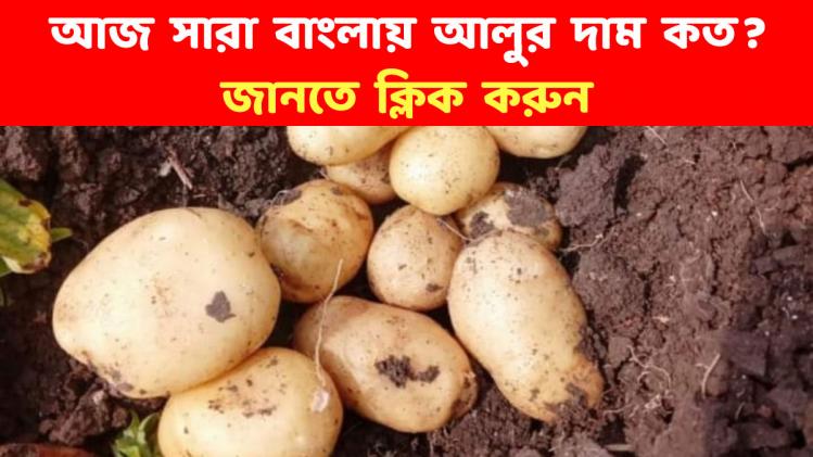 Potato Price In West Bengal Today আলুর দাম ফের চড়ল, উত্তরপ্রদেশে ও