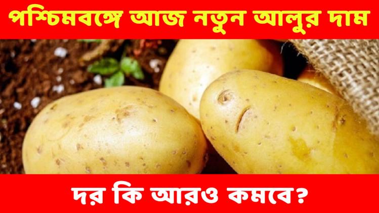 Potato Price In West Bengal Today আজ নতুন আলুর দাম কত, ফলন কমায় দাম