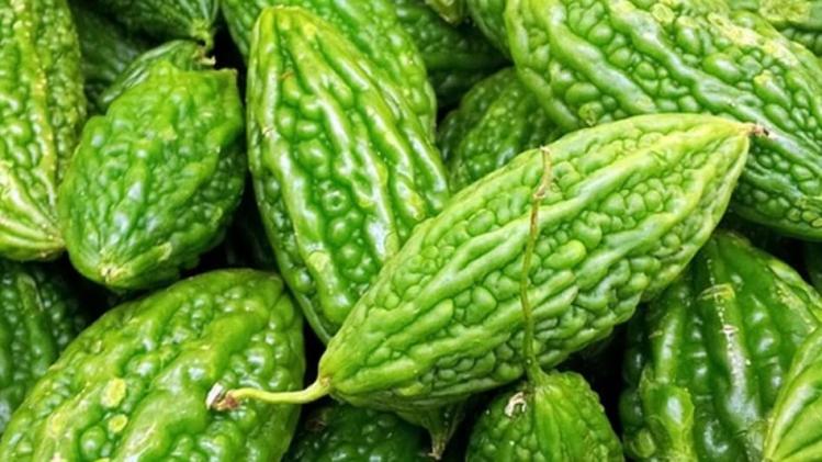 Bitter Melon Bitter Gourd Bad Food Combinations করলার সঙ্গে এই ৩