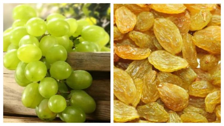 Grapes Raisin Benefits Comparison আঙুর না কিসমিস, কোনটি বেশি উপকারী