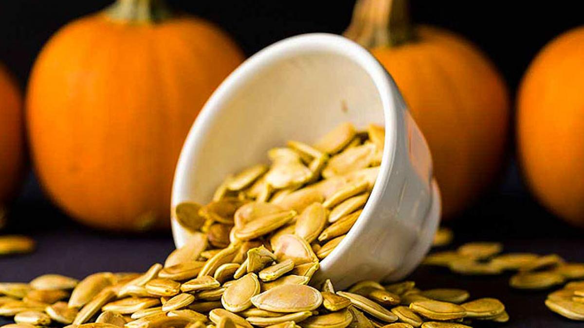 Pumpkin Seeds ডায়াবেটিস থেকে ক্যান্সার, এই সবজির বীজেই কন্ট্রোলে