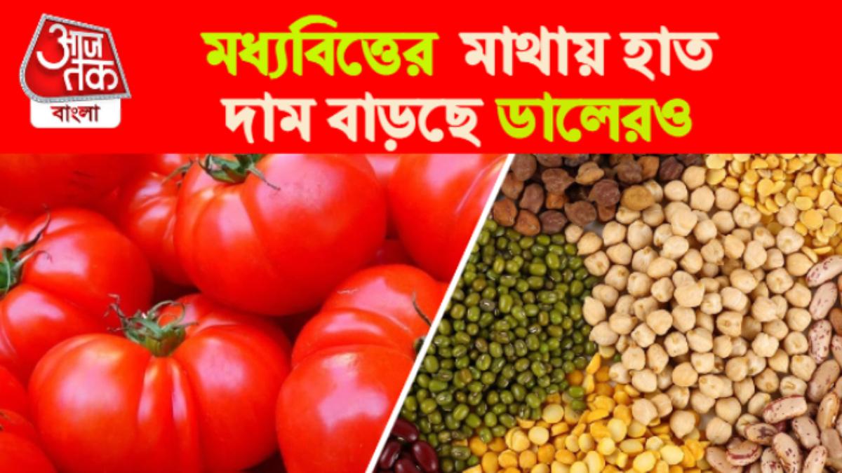 Pulses Price এবার বাড়ছে ডালের দাম, মাথায় হাত মধ্যবিত্তের pulses