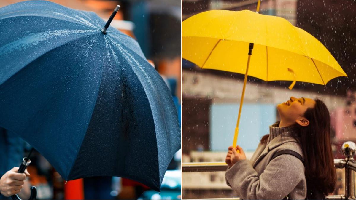 Stop Losing Umbrellas জীবনে আর একটিও ছাতা হারাবে না, মেনে চলুন এই