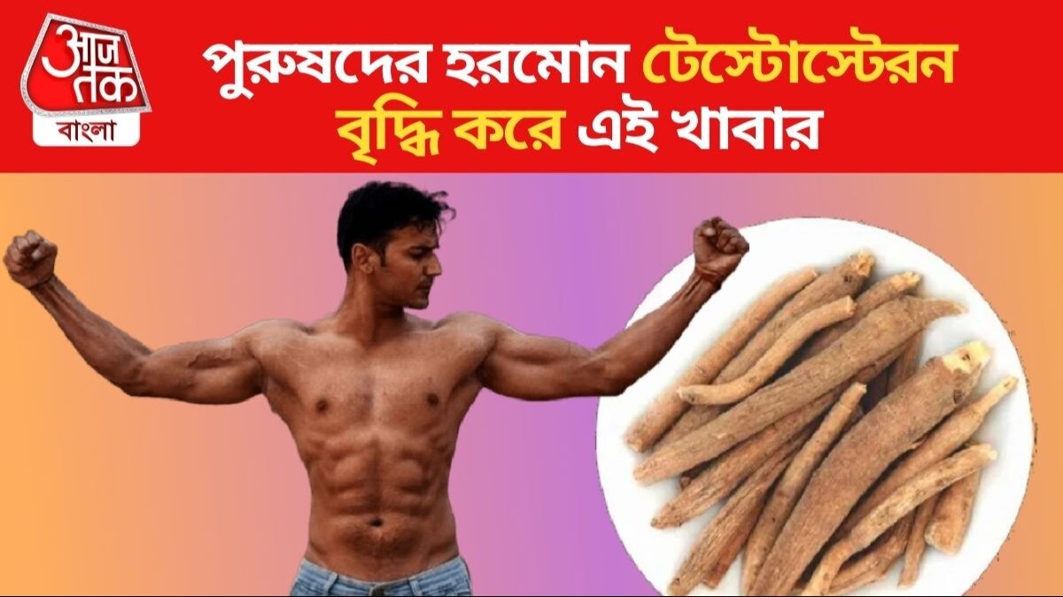 Testosterone Booster Food পুরুষ হরমোন বৃদ্ধি করে এই খাবার, রোজ খেলেই পাবেন দারুণ উপকার