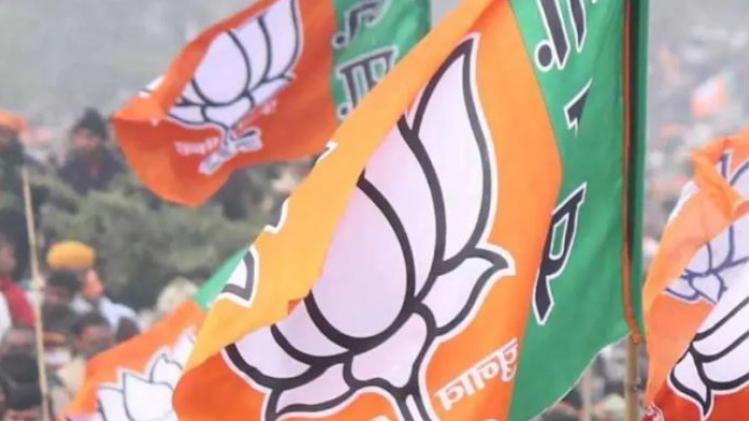 Exit Poll Video: অসমে এগিয়ে বিজেপি! দেখুন কোন দল পেতে পারে কটা আসন