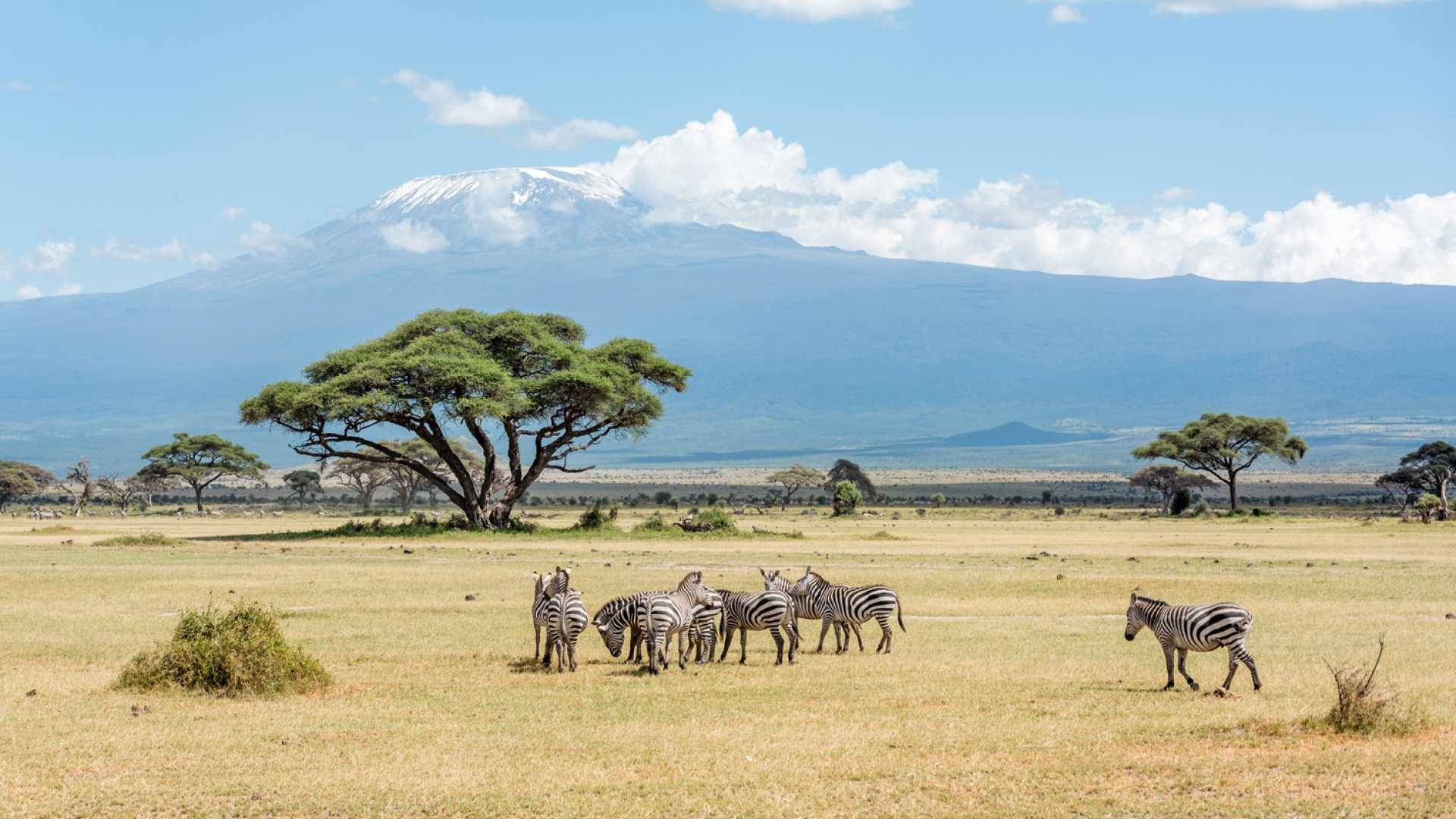 https://akm-img-a-in.tosshub.com/lingo/brt/images/photo_gallery/201908/kenya-beach-and-safari-43962495-1554105066-imagegallerylightboxlarge_080919040619.jpg