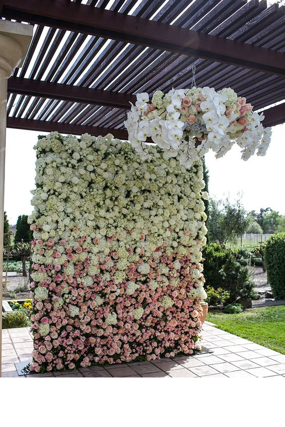 https://akm-img-a-in.tosshub.com/lingo/brt/images/photo_gallery/201911/14_112819075211.png