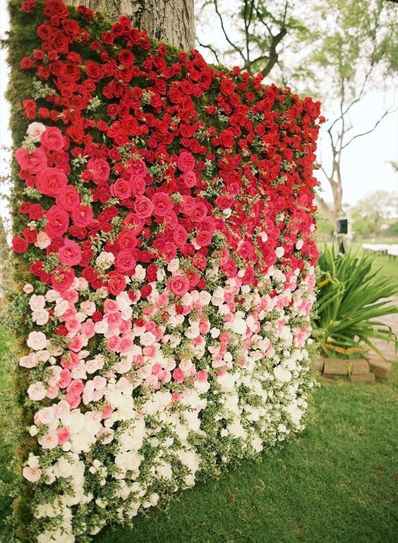 https://akm-img-a-in.tosshub.com/lingo/brt/images/photo_gallery/201911/15_112819075213.png