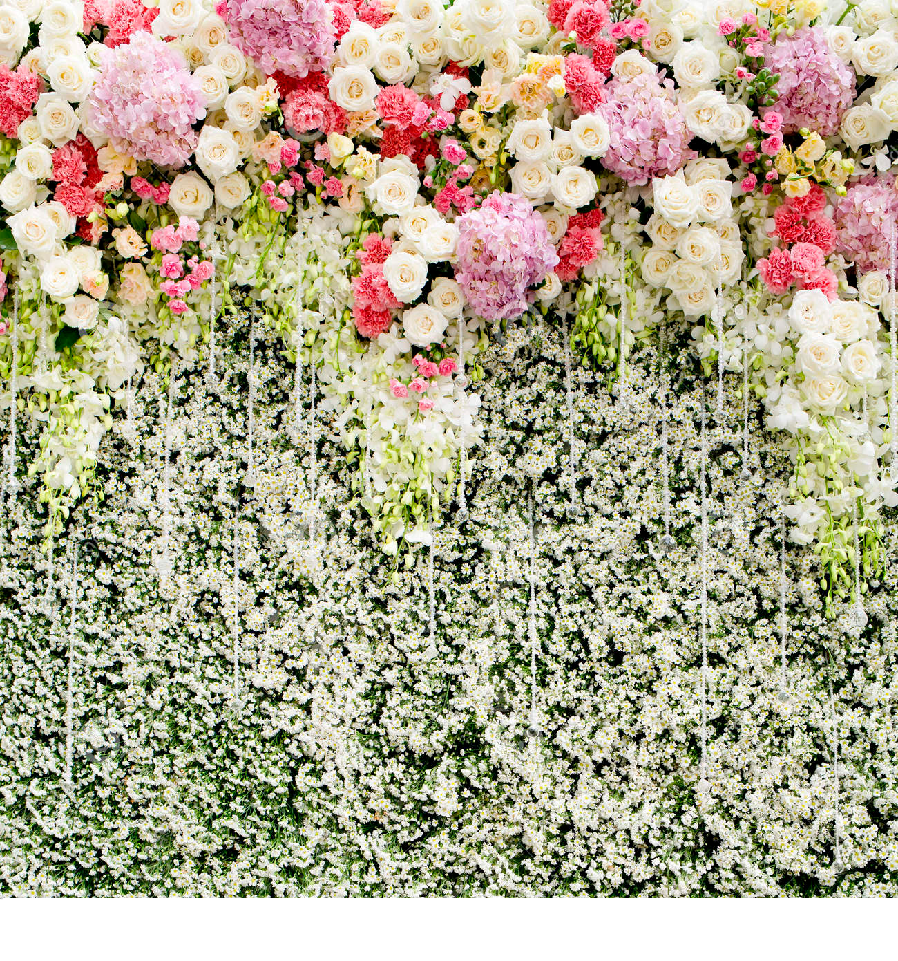 https://akm-img-a-in.tosshub.com/lingo/brt/images/photo_gallery/201911/1_112819074651.png