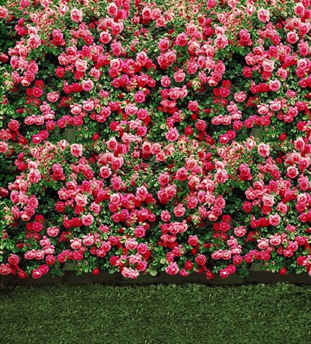 https://akm-img-a-in.tosshub.com/lingo/brt/images/photo_gallery/201911/3_112819075158.png
