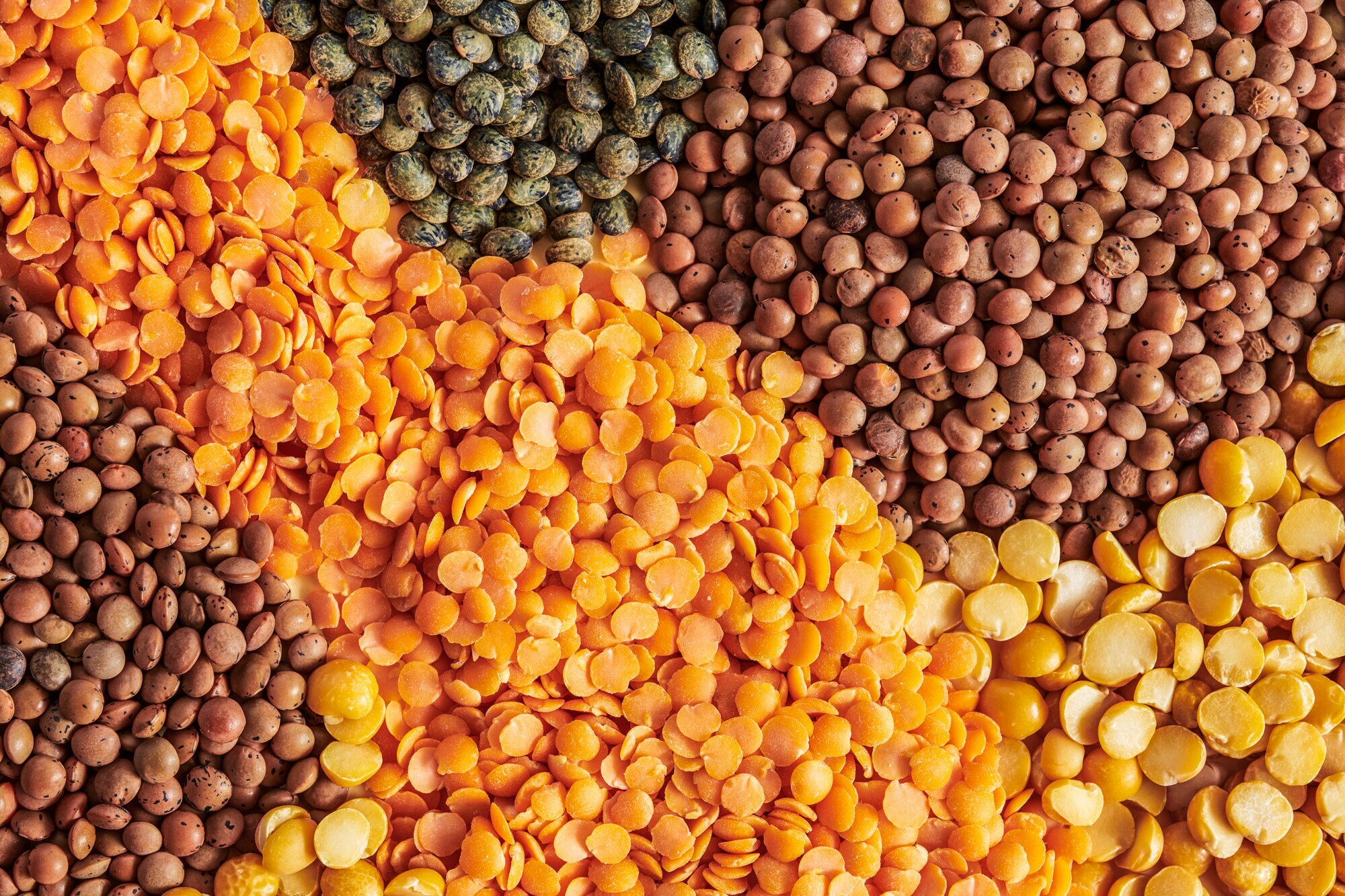 https://akm-img-a-in.tosshub.com/lingo/brt/images/photo_gallery/202101/lentils_011421044734.jpg