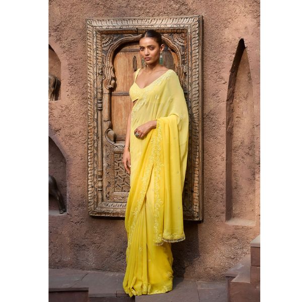 https://akm-img-a-in.tosshub.com/lingo/brt/images/photo_gallery/202507/dolly_j_camellia_ombre_chikankari_saree_._88000.jpg