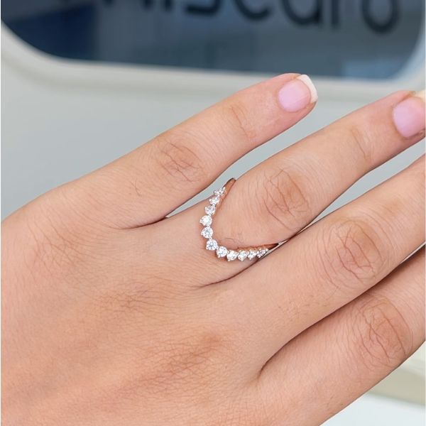 https://akm-img-a-in.tosshub.com/lingo/brt/images/photo_gallery/202508/miscaro_elysian_vanki_ring_rs_61884.jpg