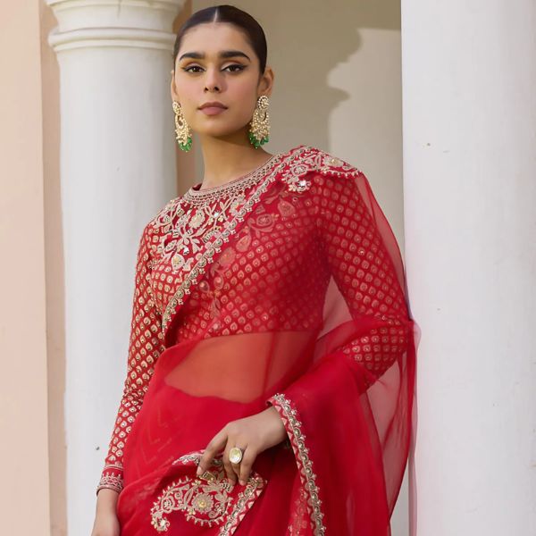 https://akm-img-a-in.tosshub.com/lingo/brt/images/photo_gallery/202510/isha_gupta_tayal_red_organza_chanderi_net_embroidery_round_neck_apsara_border_saree_set_rs25200.jpg