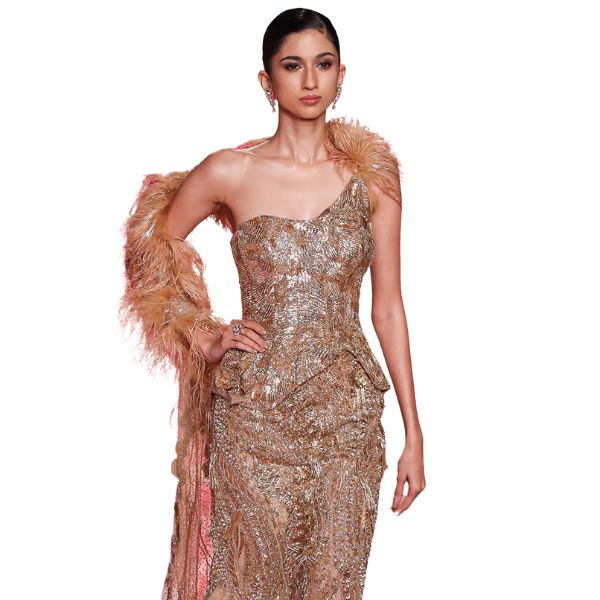 https://akm-img-a-in.tosshub.com/lingo/brt/images/photo_gallery/202511/dolly_j_gold_tulle_sequins_feathers_crystals_reine_embellished_corset_and_skirt_set_rs341300.jpg