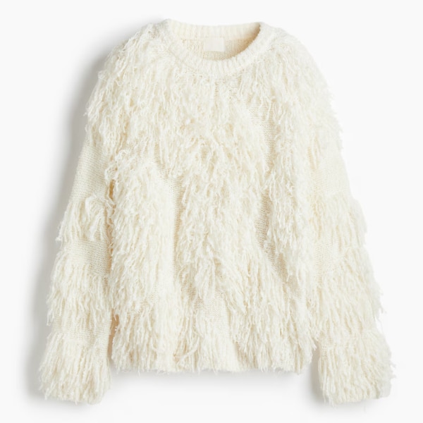 https://akm-img-a-in.tosshub.com/lingo/brt/images/photo_gallery/202512/hm_fringed_jumper_rs3999.png