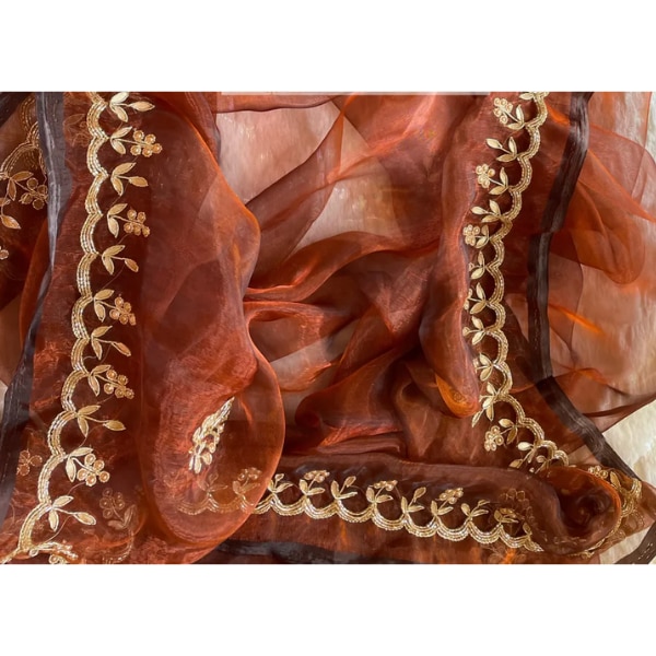 https://akm-img-a-in.tosshub.com/lingo/brt/images/photo_gallery/202602/kreation_by_kj_copper_brown_glass_tissue_gota_patti_dupatta_rs3200.png