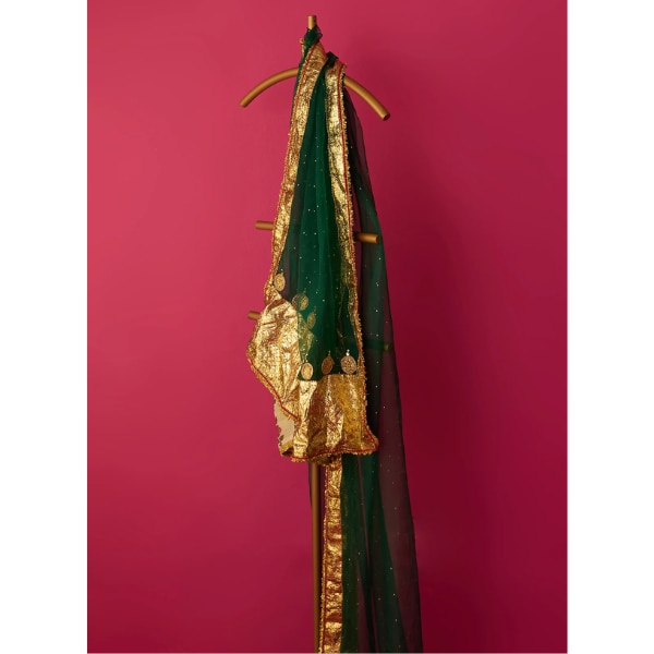 https://akm-img-a-in.tosshub.com/lingo/brt/images/photo_gallery/202604/ridhiiee_suuri_nur_green_mukaish_embroidered_dupatta_rs13200.png