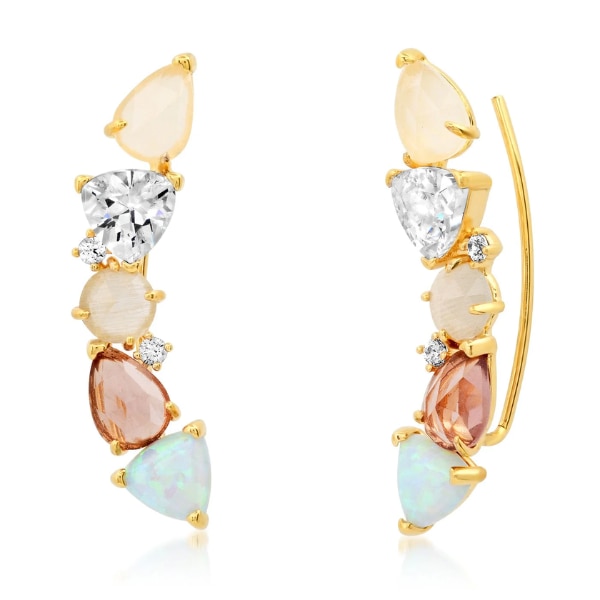 https://akm-img-a-in.tosshub.com/lingo/brt/images/photo_gallery/202605/tai_rainbow_cascade_ear_crawlers_rs6800.png