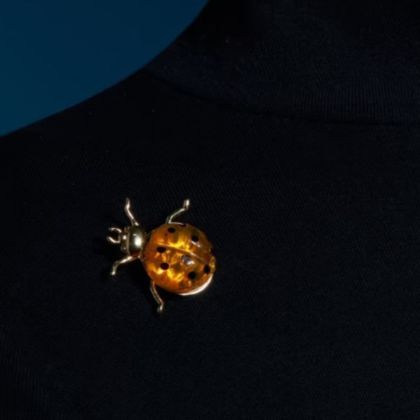https://akm-img-a-in.tosshub.com/lingo/brt/images/photo_gallery/202606/ogaan_aadikara_yellow_bug_brooch_rs2060.png