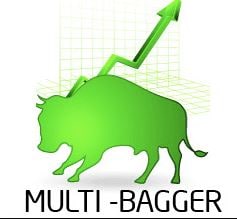 multibagger multibagger