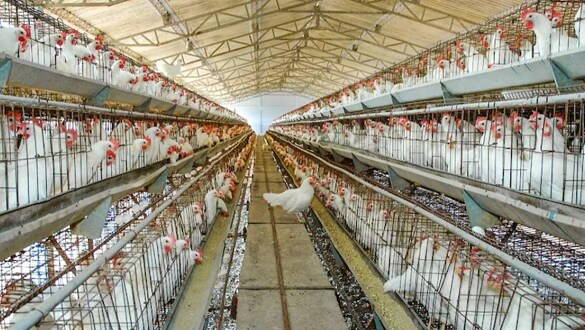 सावधानी रखे सावधानी रखे